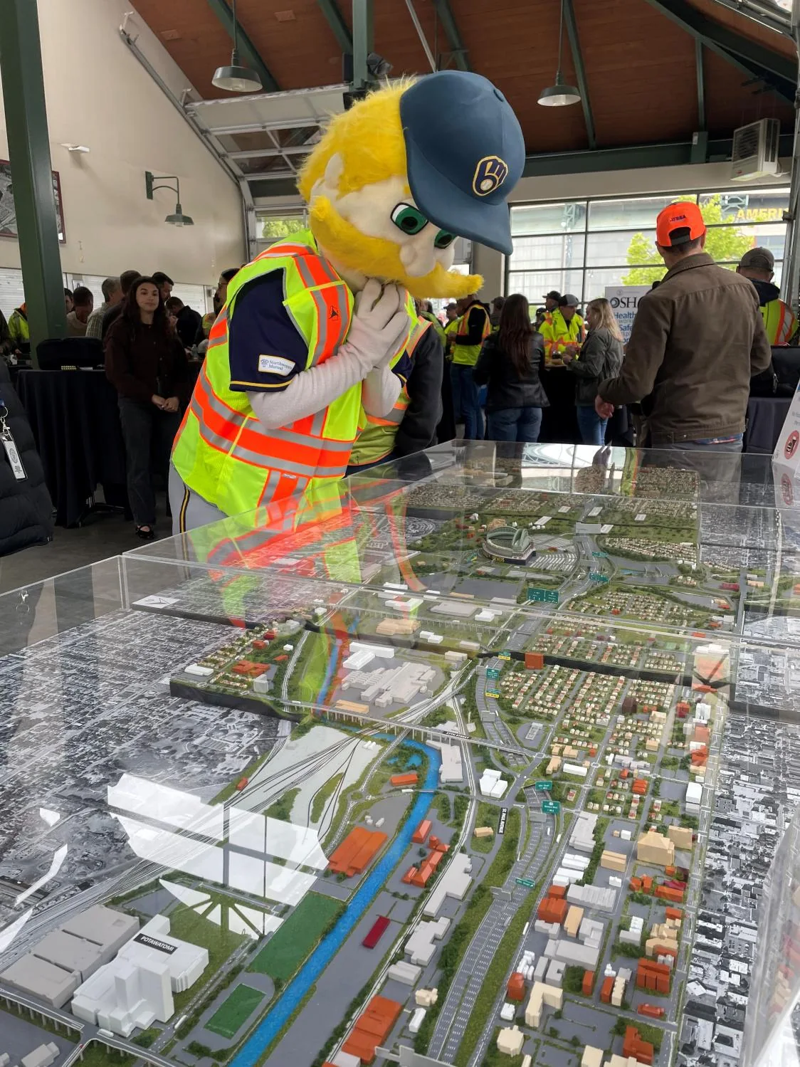 Bernie Brewer leans over the clear cover to take a closer look at the I-94 corridor model.